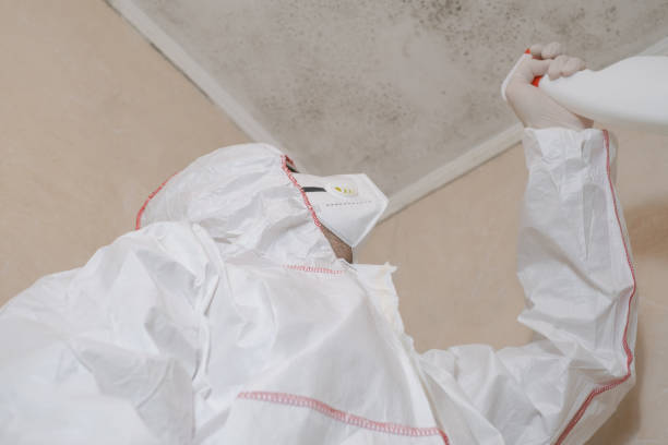 Best Toxic Mold Removal  in Fort Wayne, IN